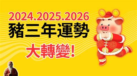 2023 豬運勢|2023年12生肖運勢排行榜出爐 屬豬者財運大增